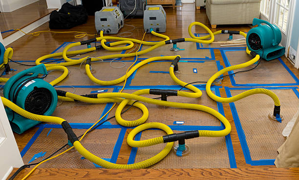 Professional Emergency Water Removal technician working in Clare, IA